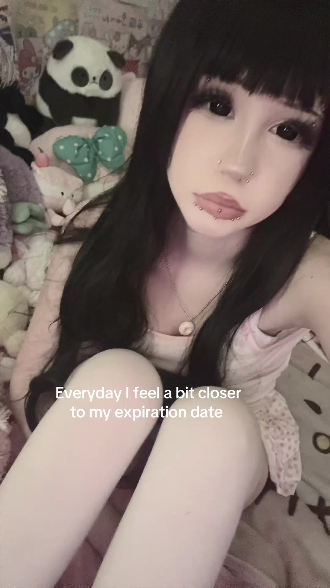 @🐼🎀