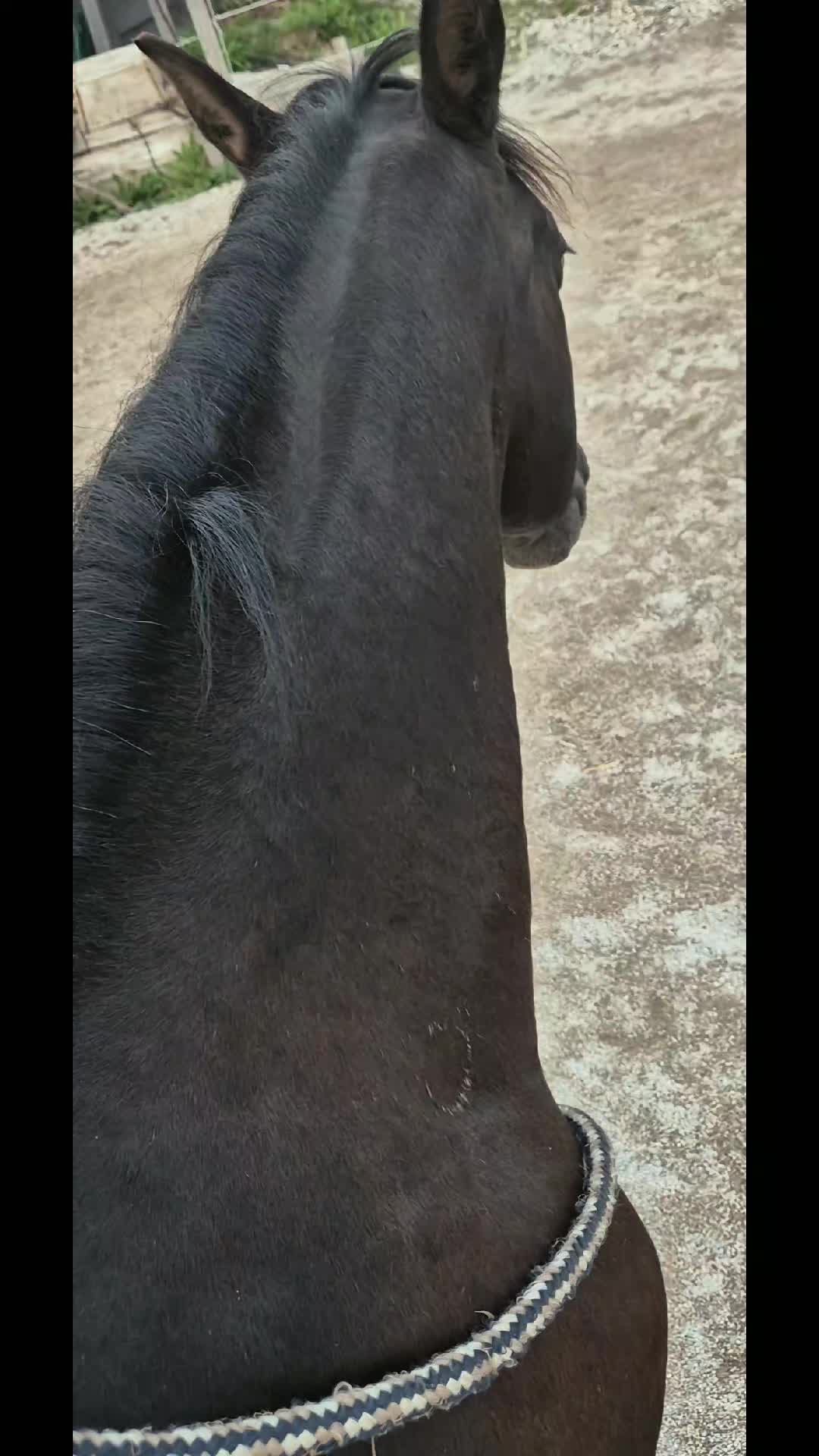 @N.H