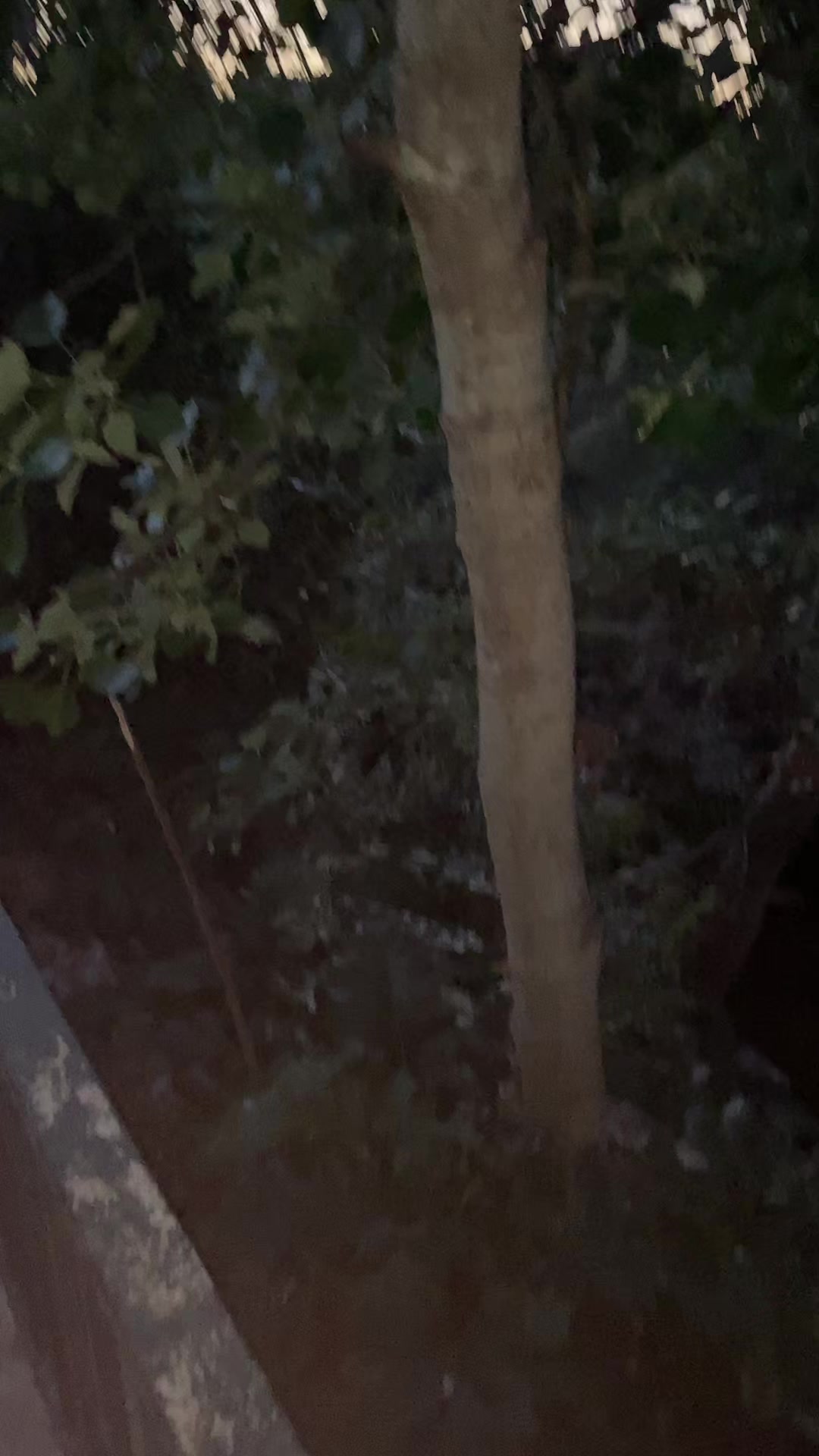 @tiffni0