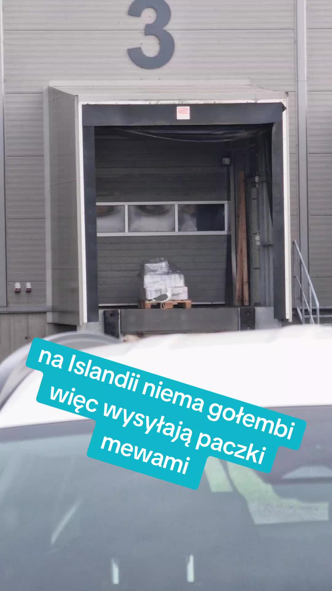 @🚗🇵🇱DoCelu🇮🇸 💪