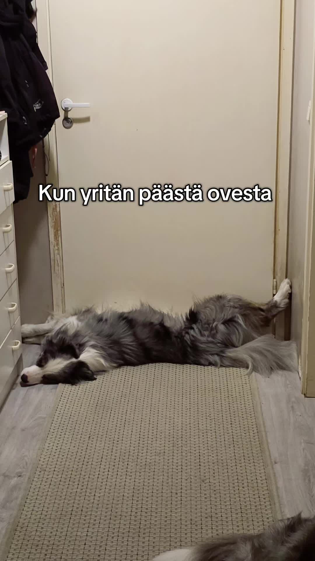 @Kati Häkli