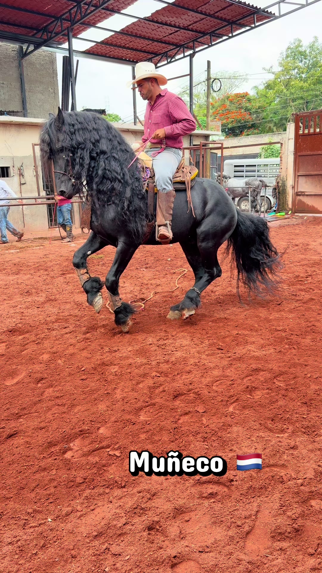 @Rancho los Arcos