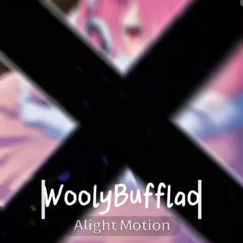 @woolybufflao