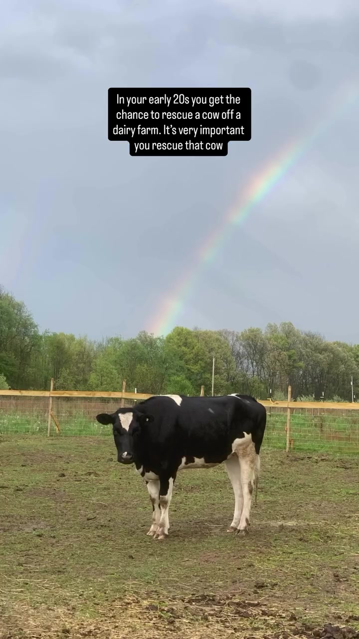 @belle🧚