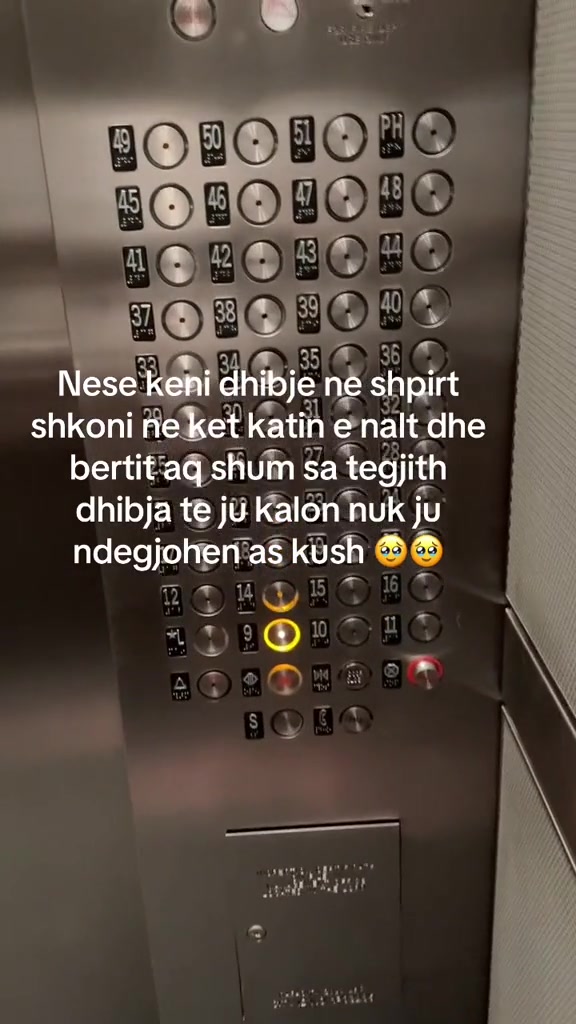 @ZemraMëKujton🤗❤️