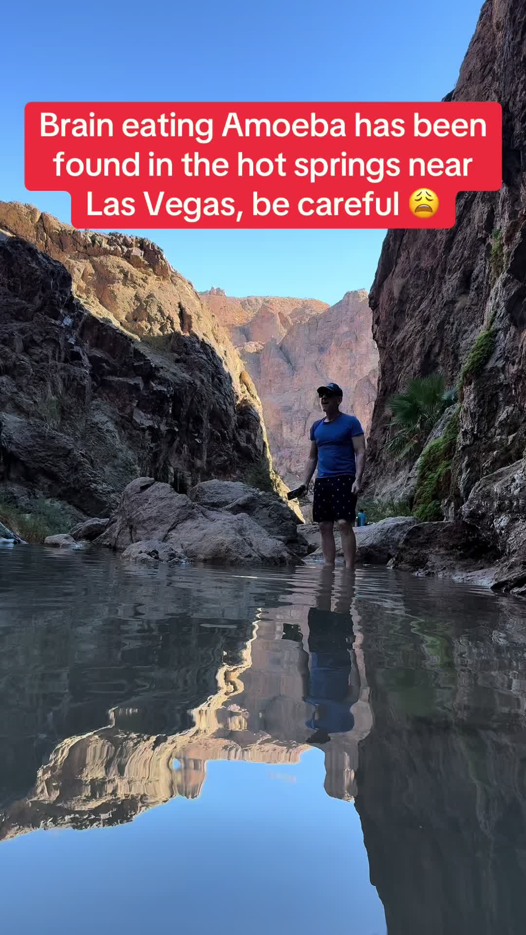 @The Vegaspaulyc show
