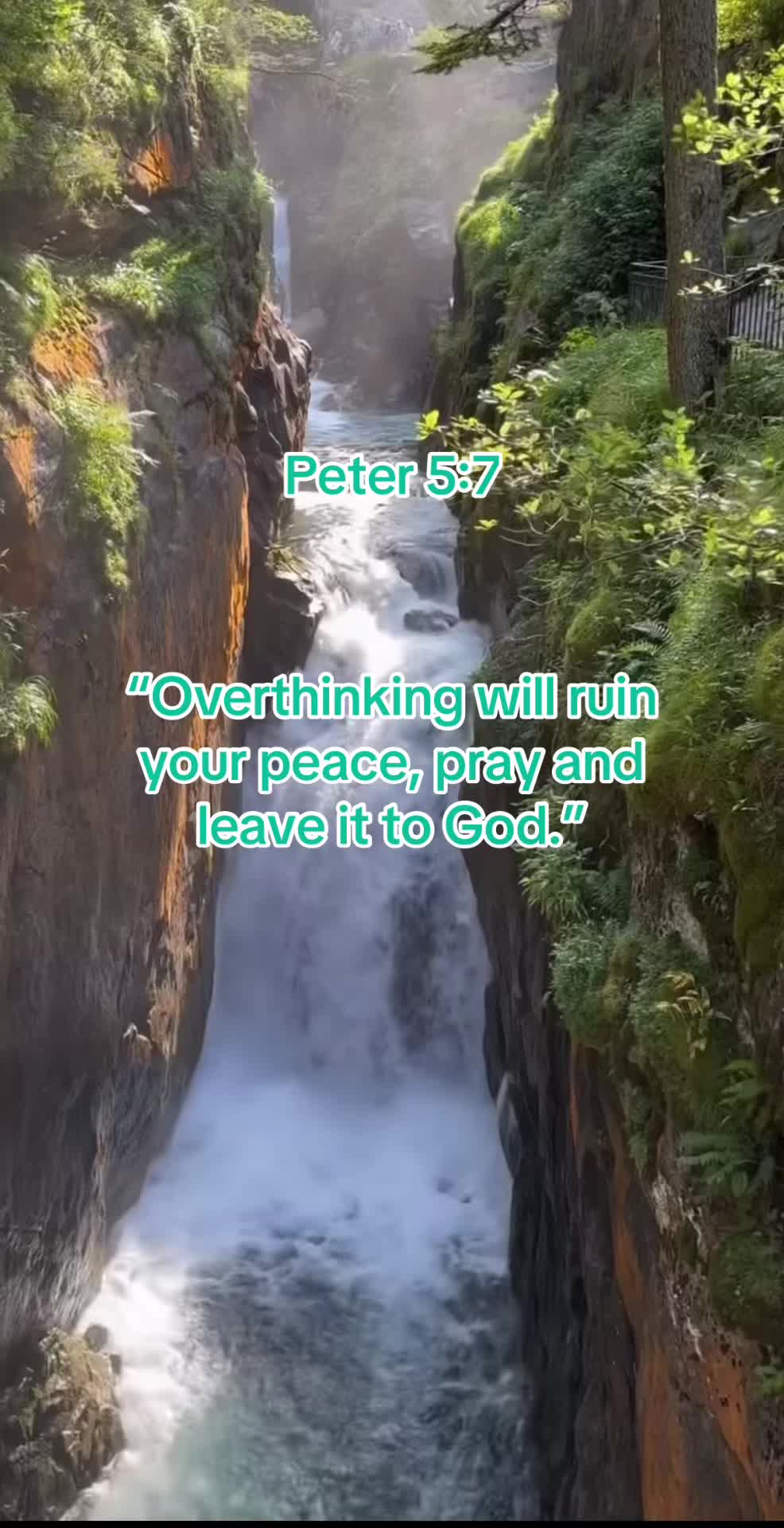 @Jesus is king✝️