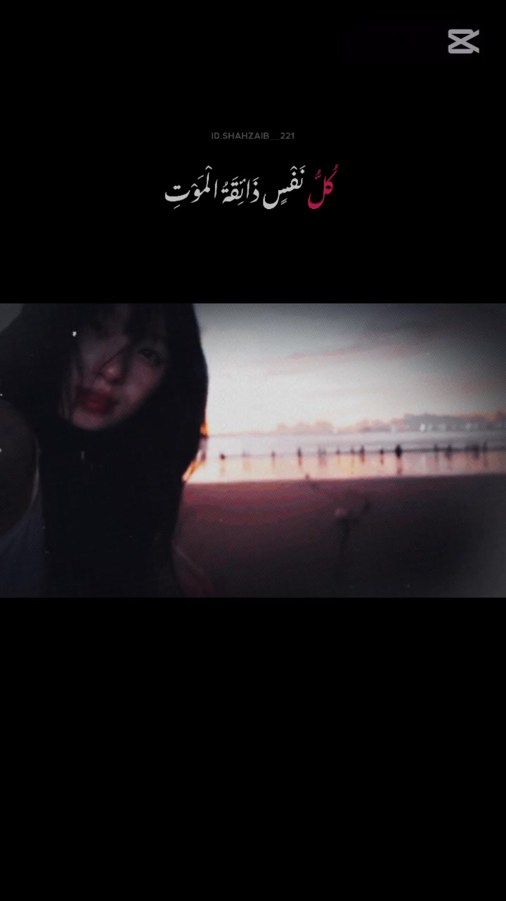 @ヅDᴵᴸ Tᴼᴿ ᴷᴵᴸᴸᴱᴿ 💔