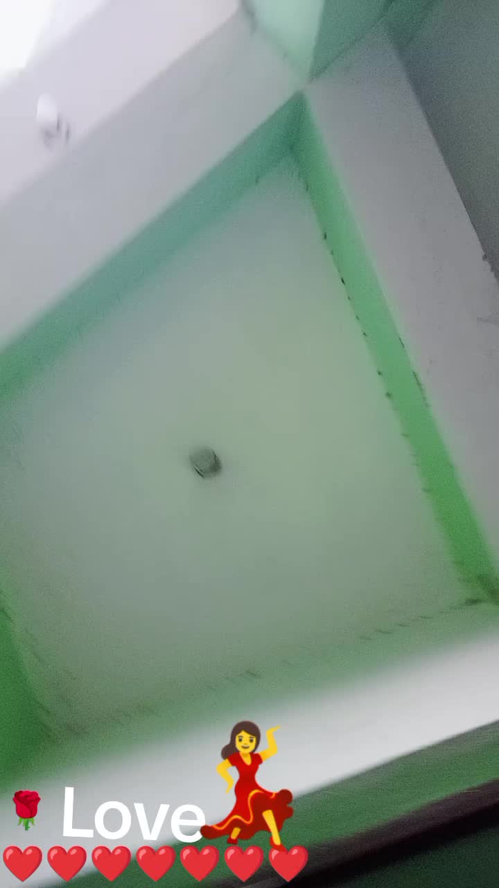 @priyanka patel
