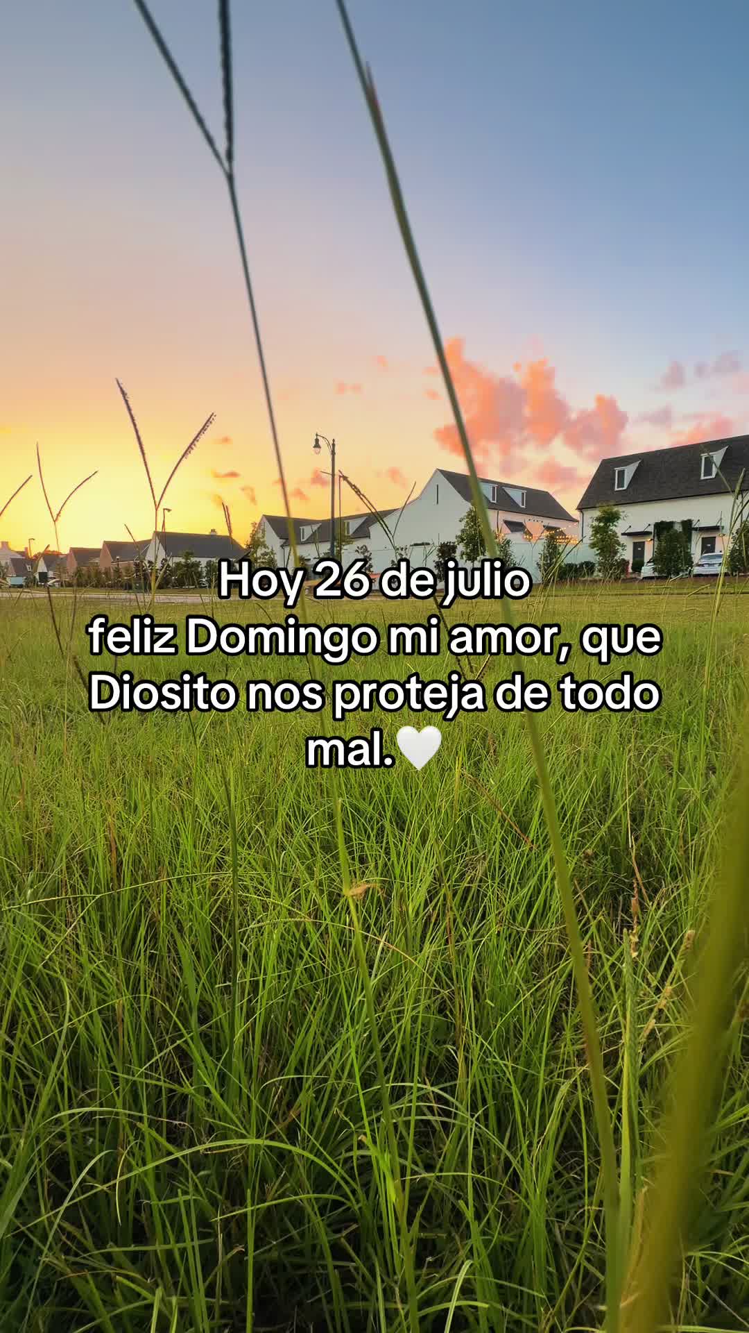 @rolitas502🇬🇹