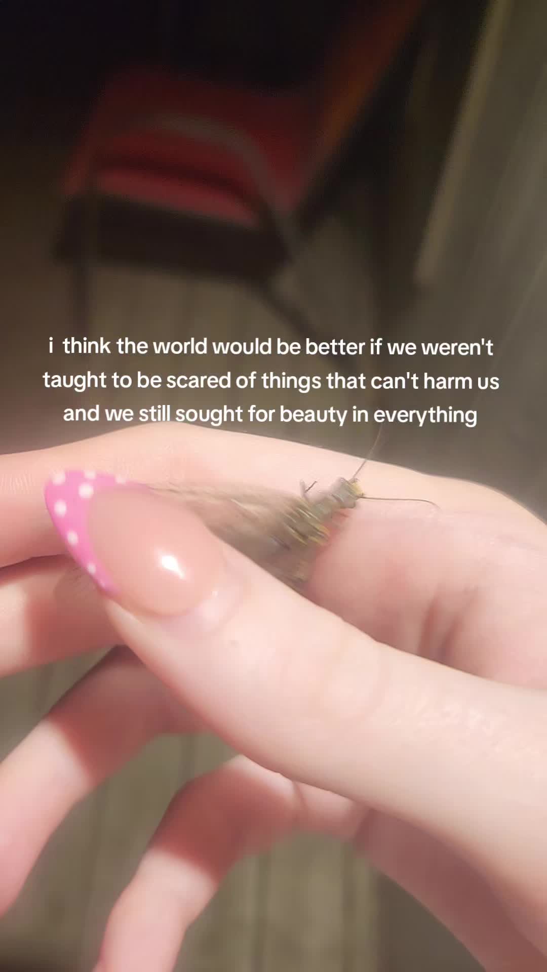 @hedidntevencare