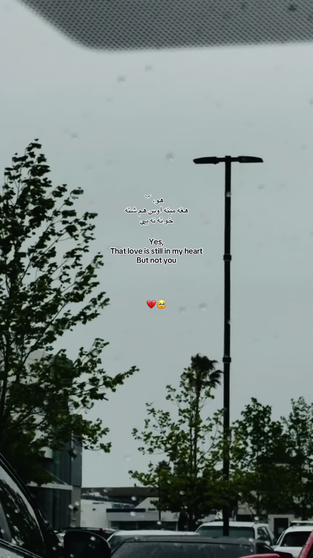 @ɴᴀᴢᴇᴇʀ ོ