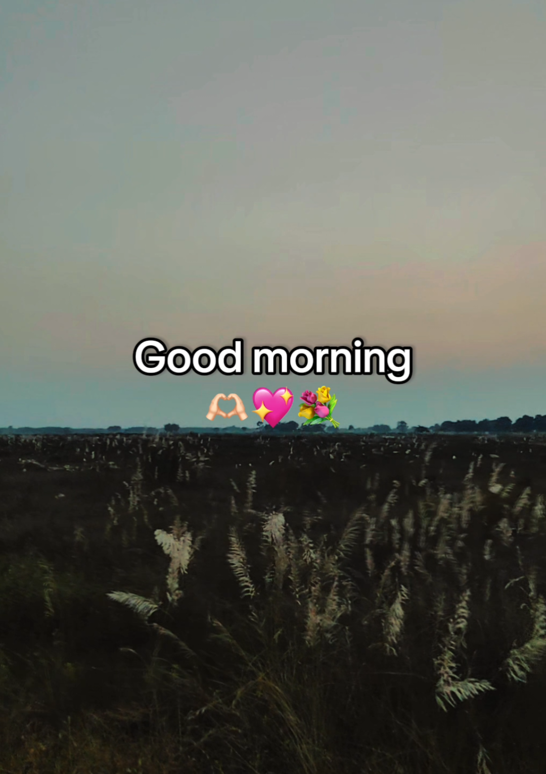@𝖬𝗋 𝖯ɪɴᴛᴜ♡