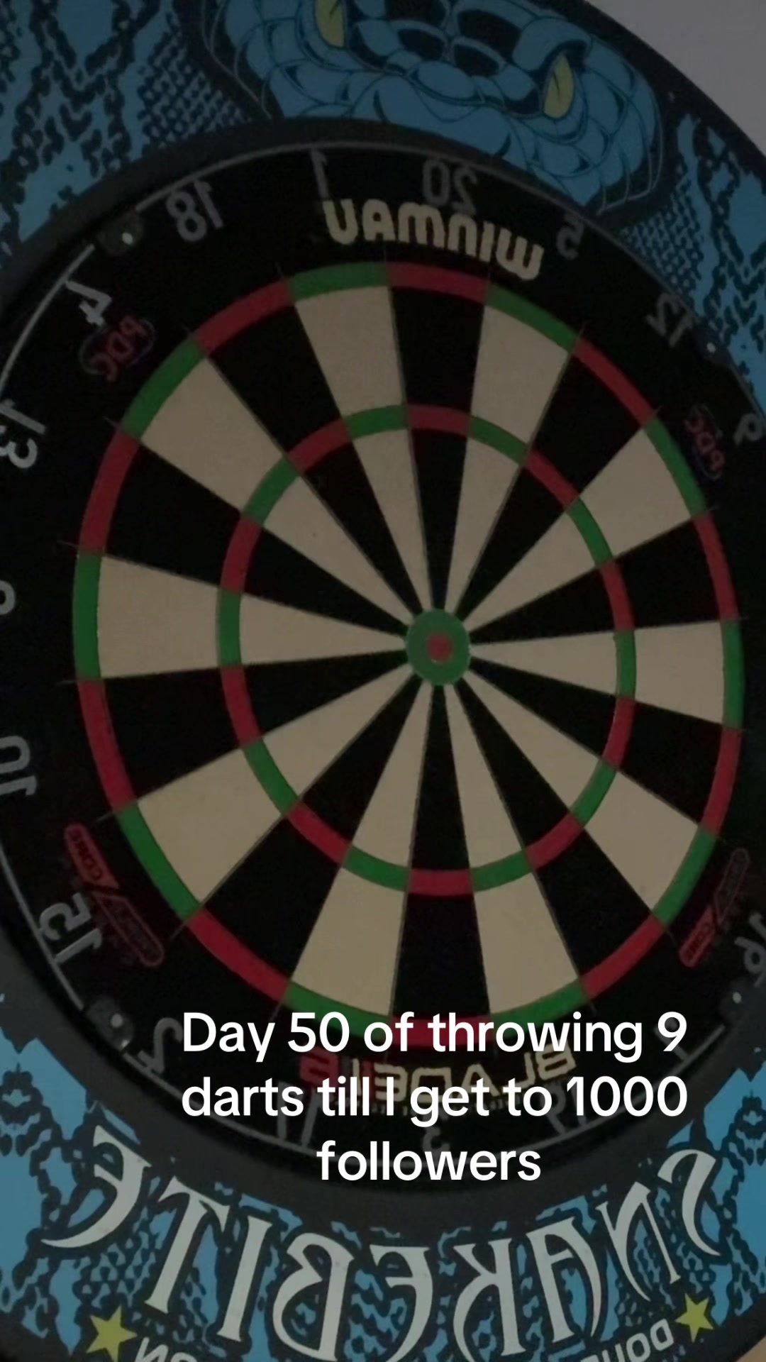 @ryan_darts2009