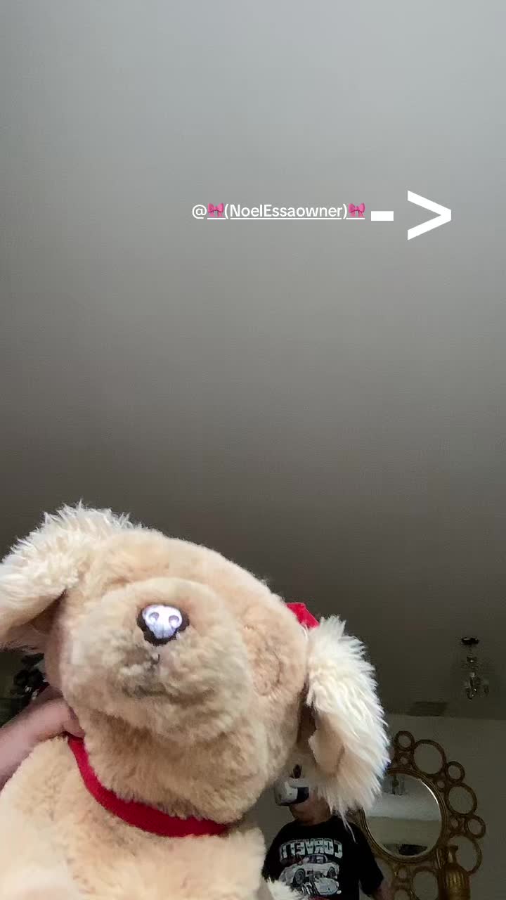 @🐾🎄⛄️Essa owner🎄⛄️🐾