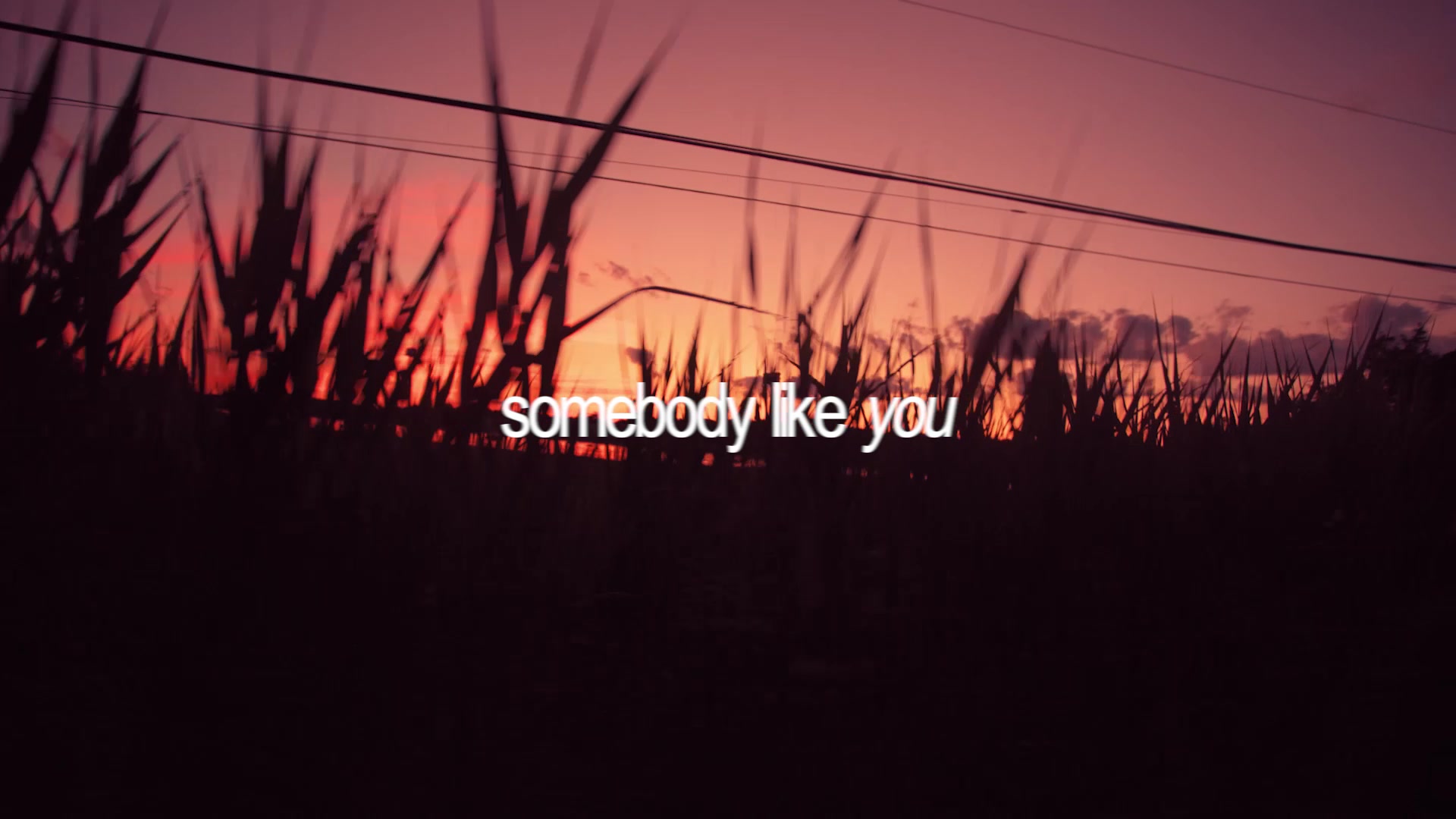 @Caleb