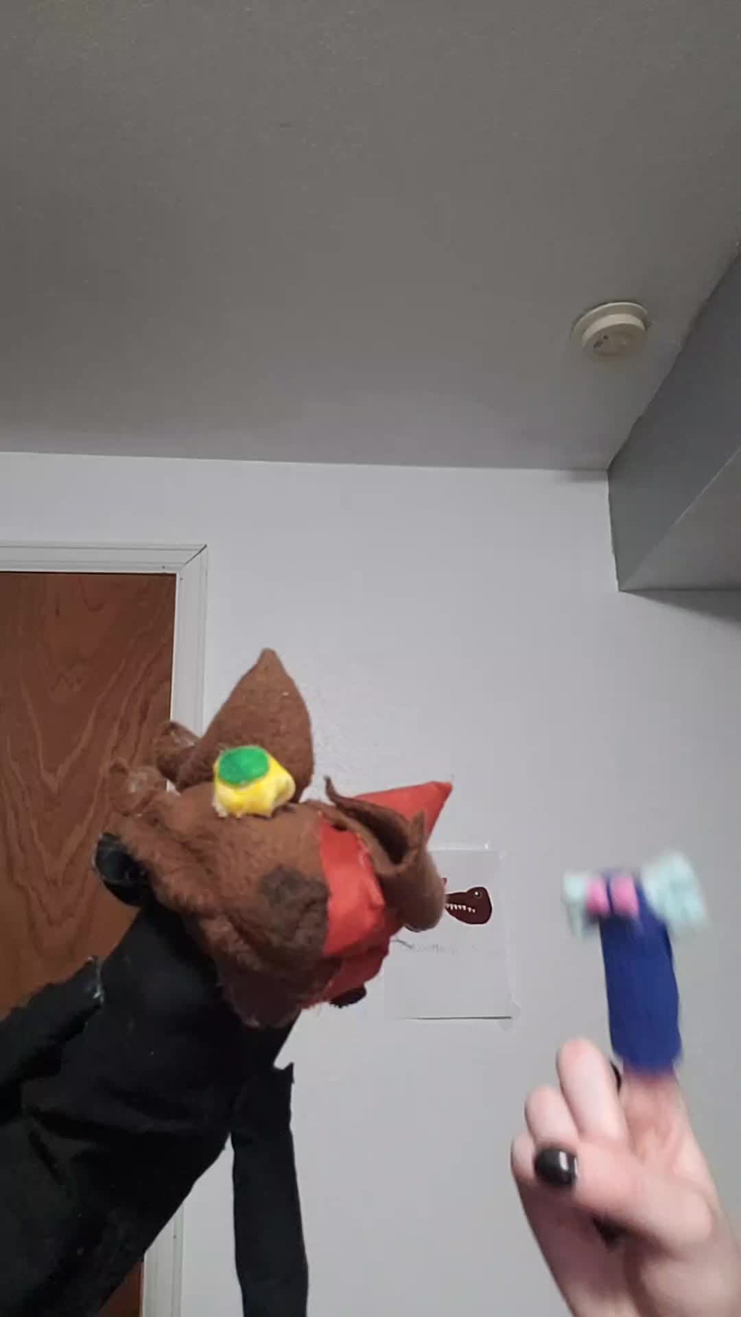 @the3puppet33rs