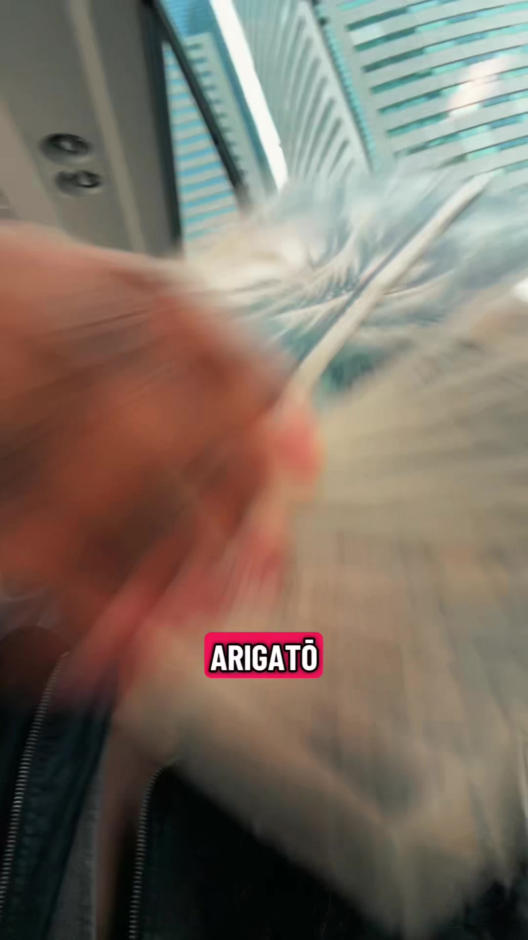@TᕼE ᗷᒪᑌEᑭᖇIᑎT