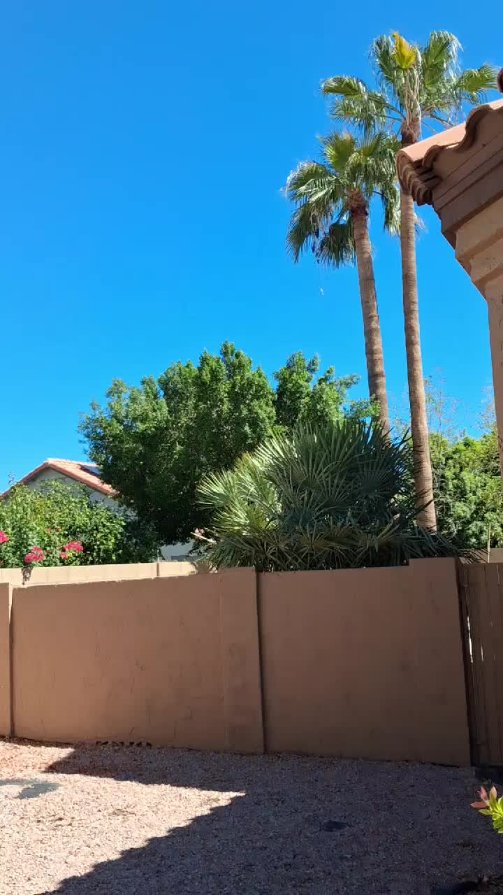 @Israel lira 🌴 24/7 🤪🤪🤪🤪🤪