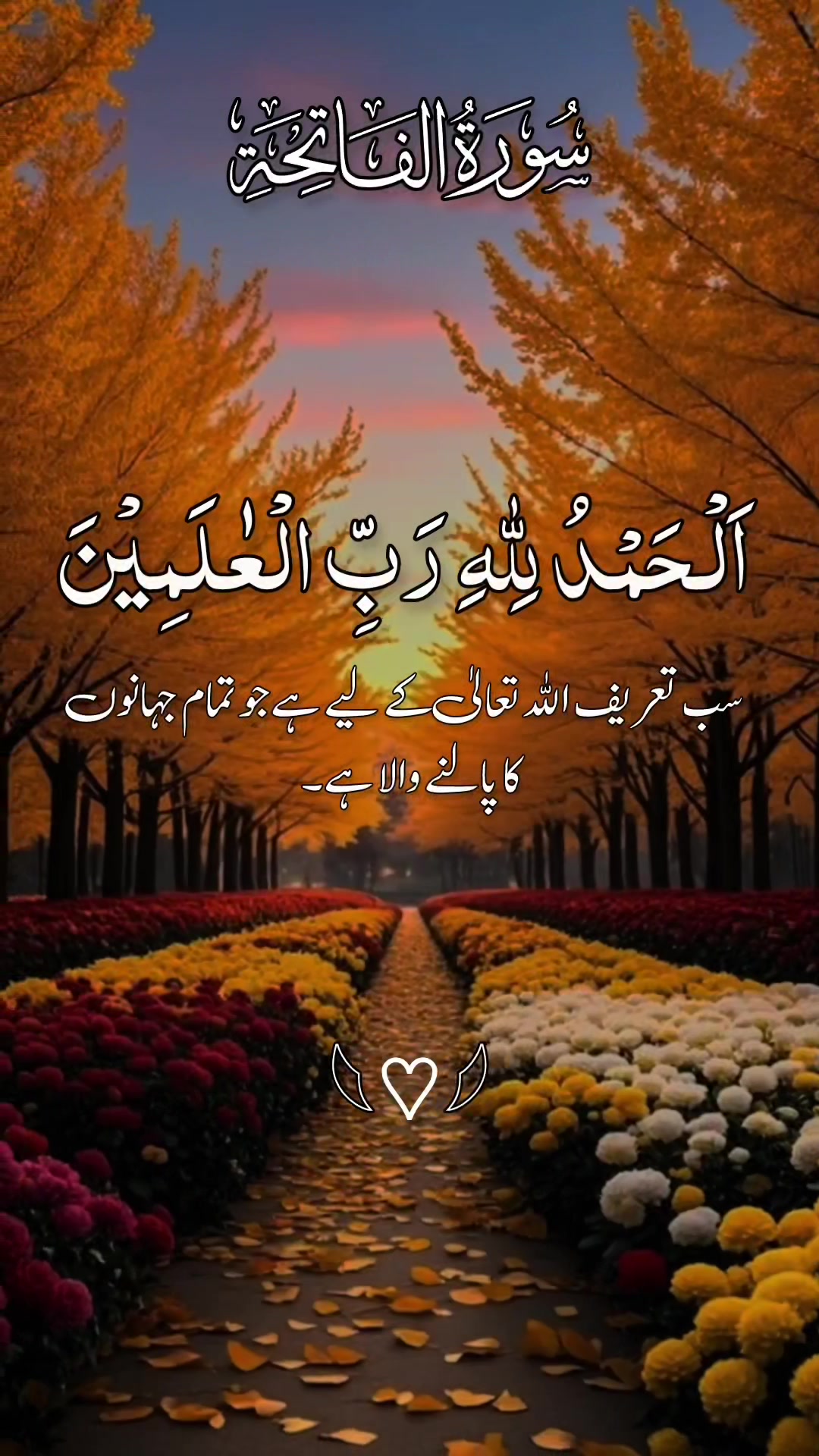 @❣️ Words of Allah ❣️