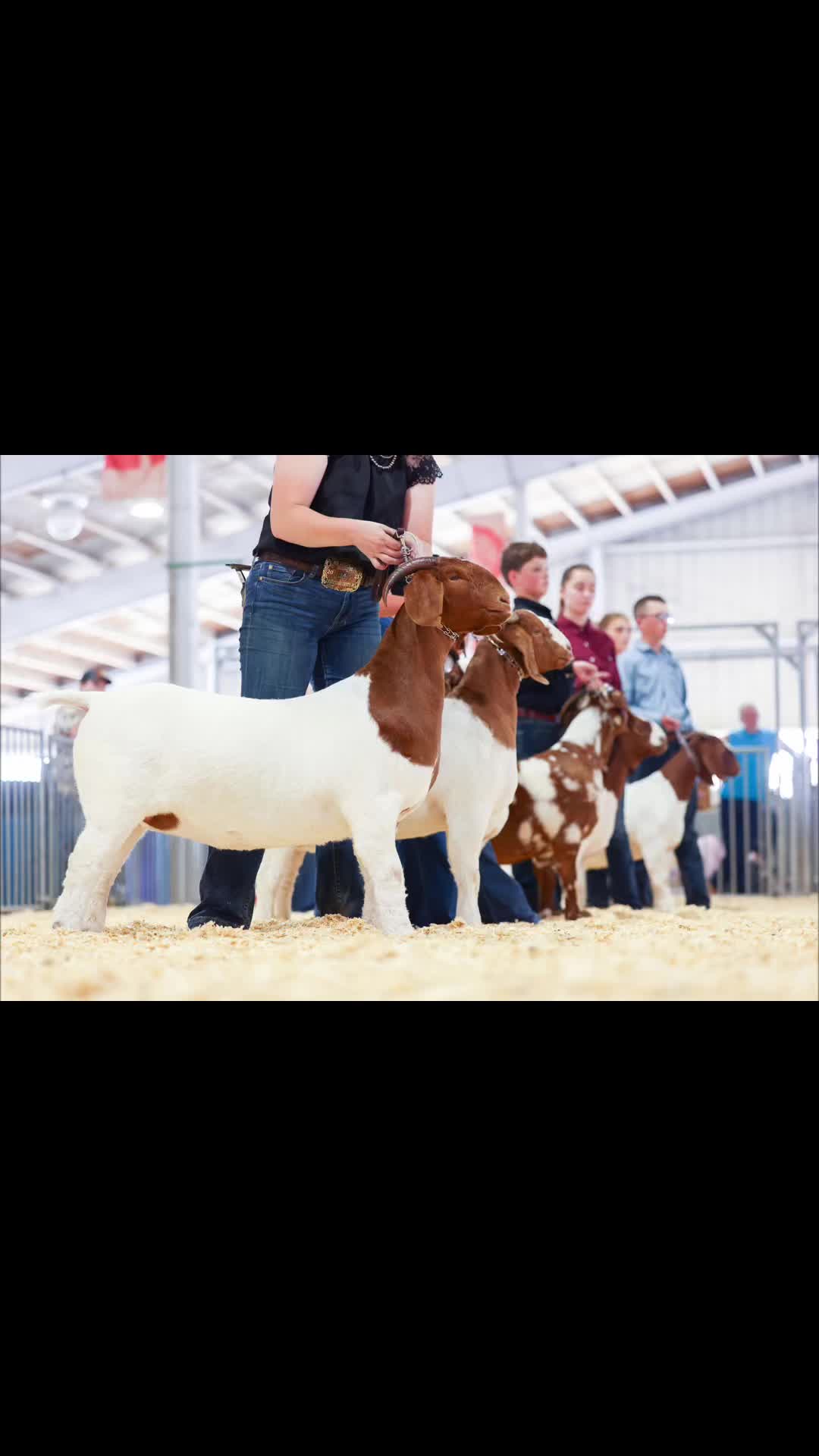 @Jmertinsfarm