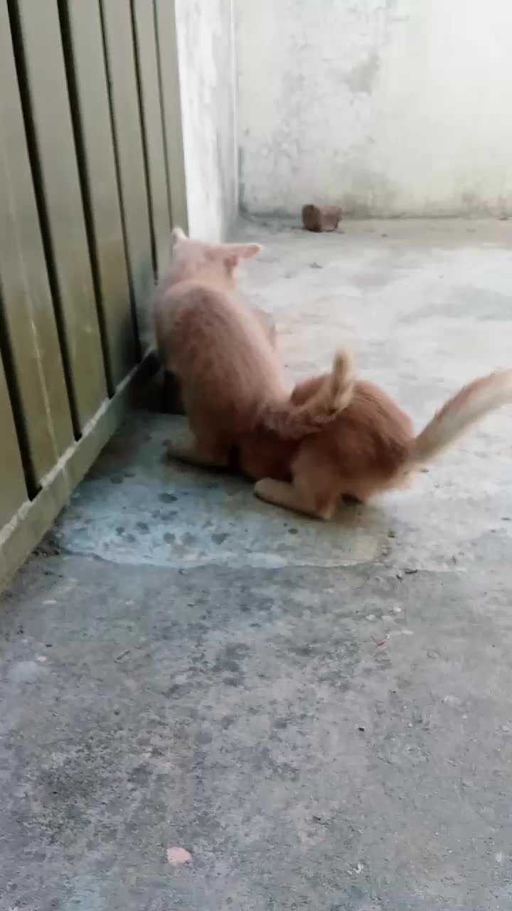@cutecatlover8172