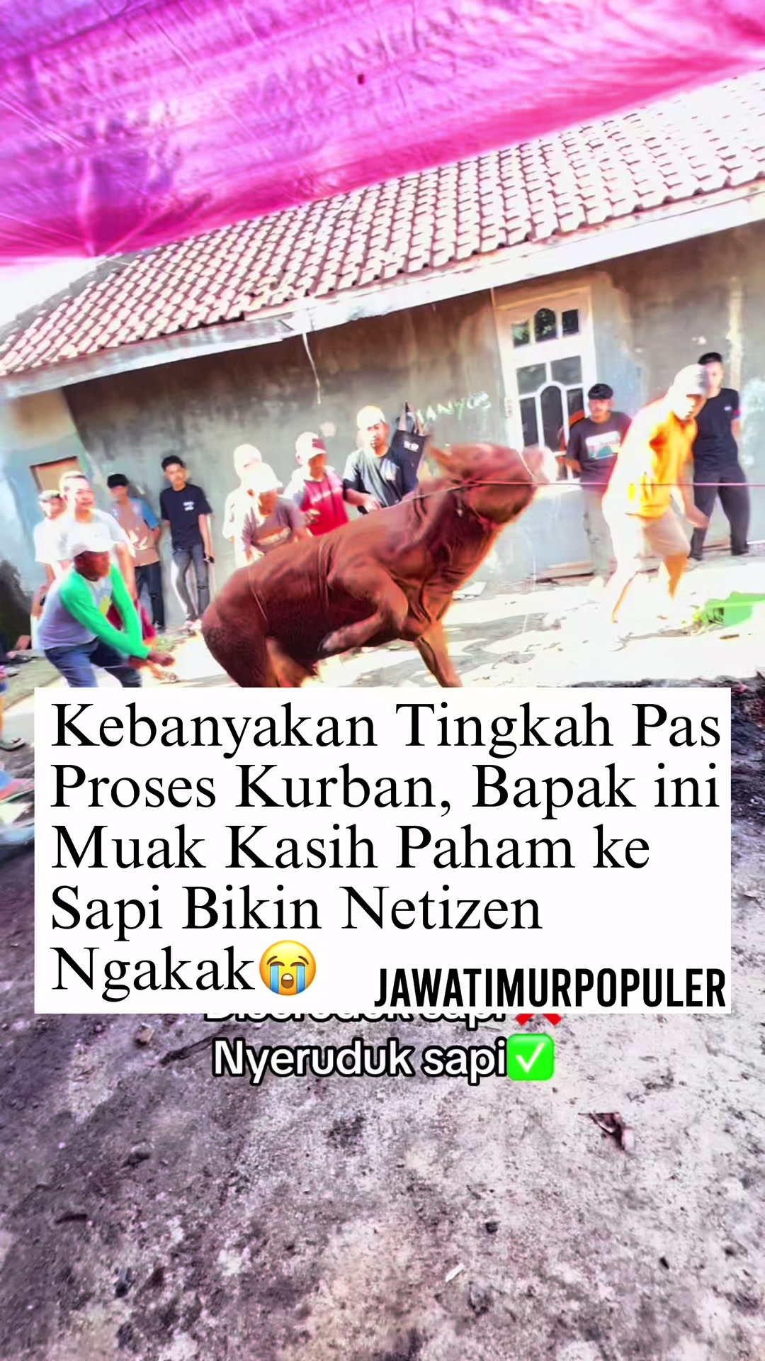 @jawatimurpopuler