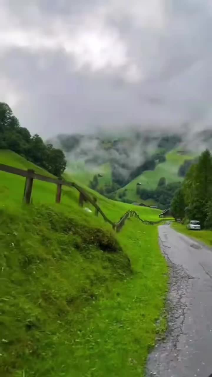 @Syeda-G 007