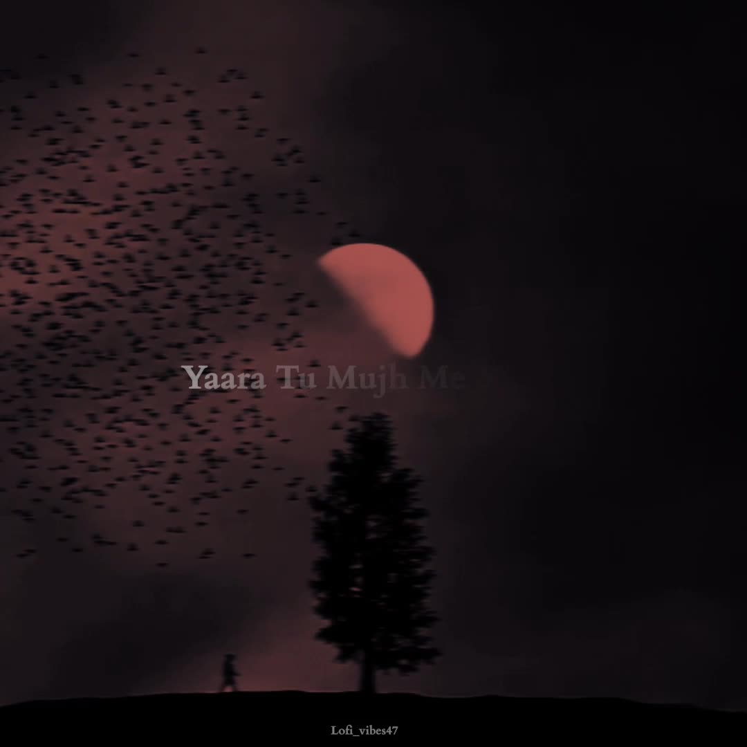 @lofi_Vibes