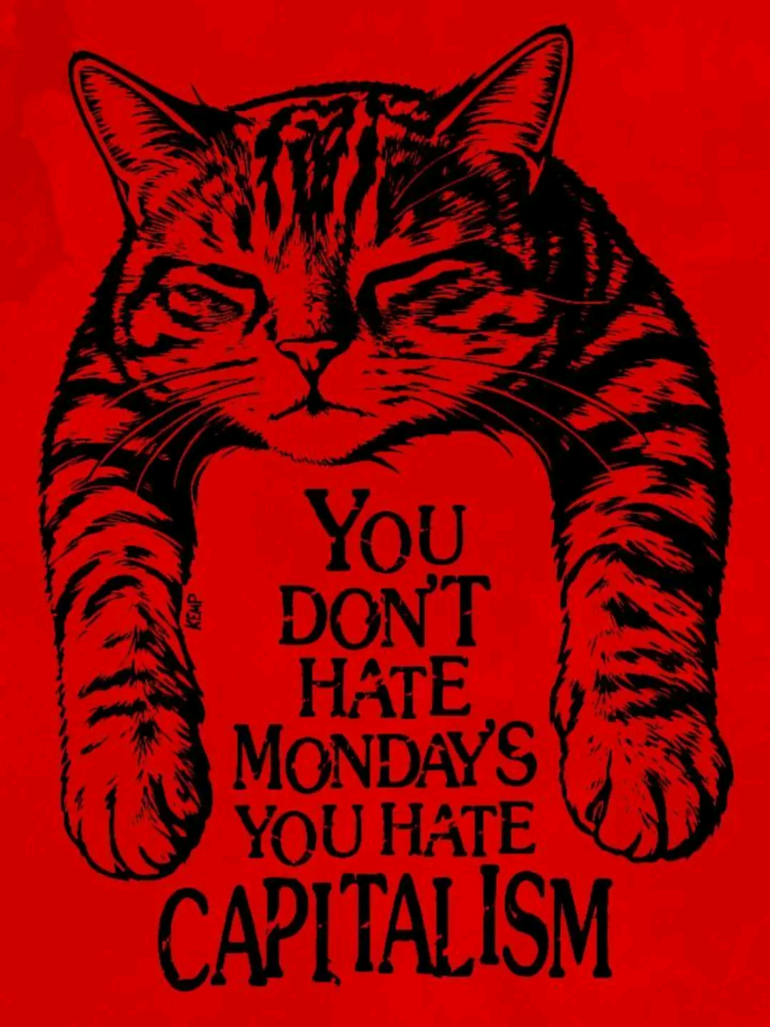 @Ratti 🐁