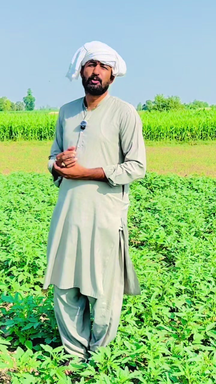 @Asad Mahmood Ludhiania
