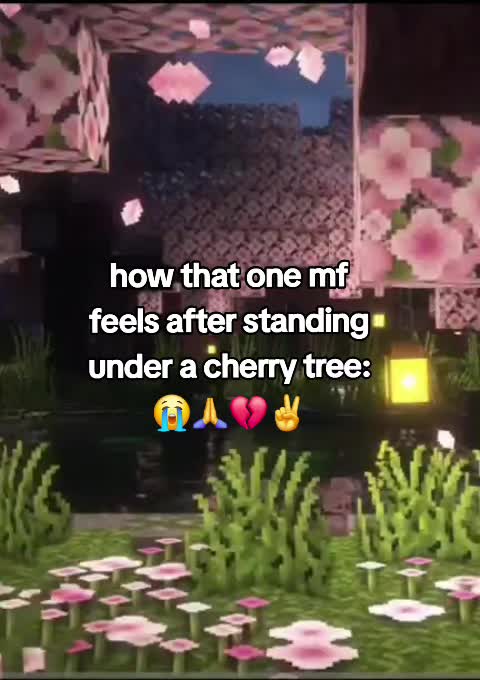@devoiid