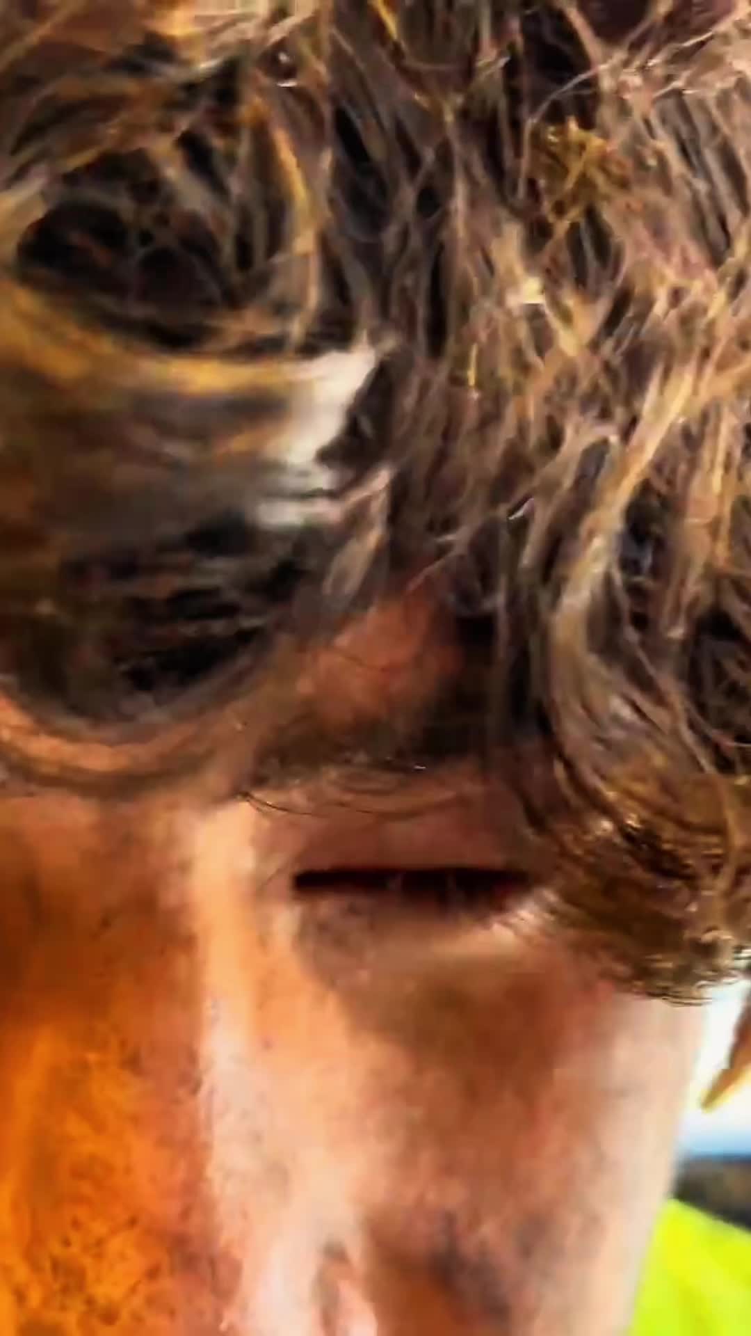 @ASMR Transformation💈✂️