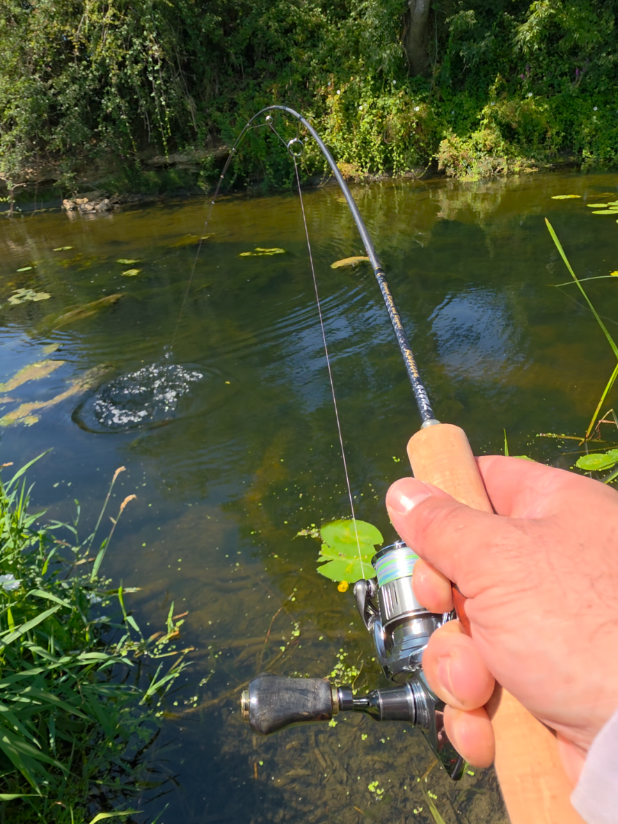 @BF Angler