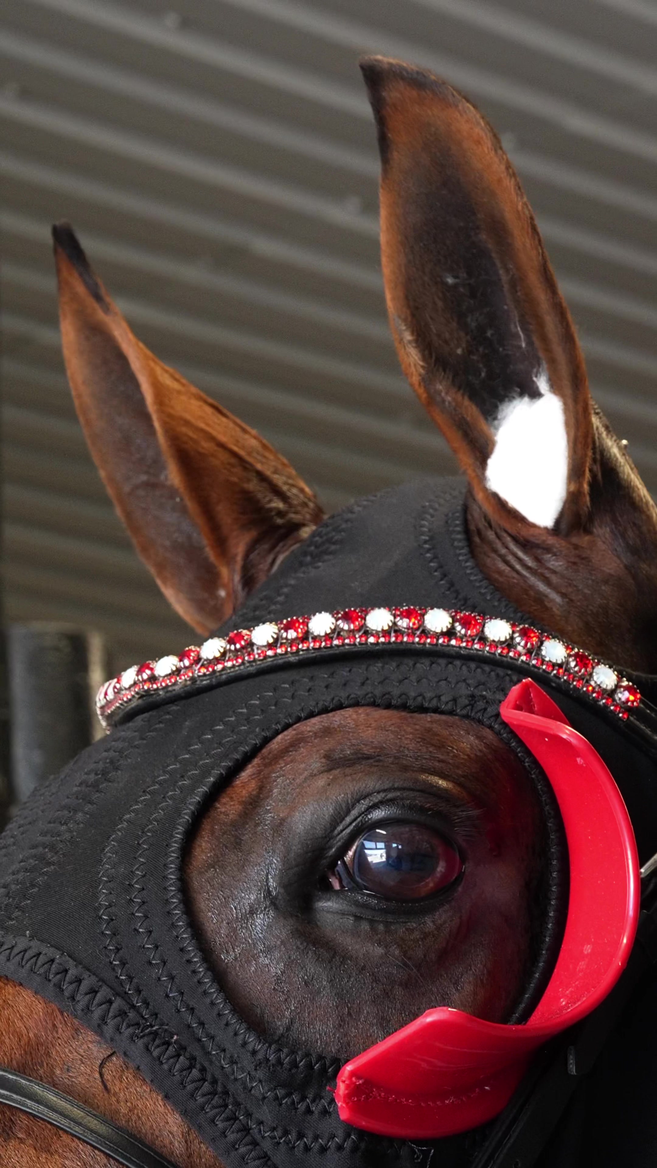 @Solvalla