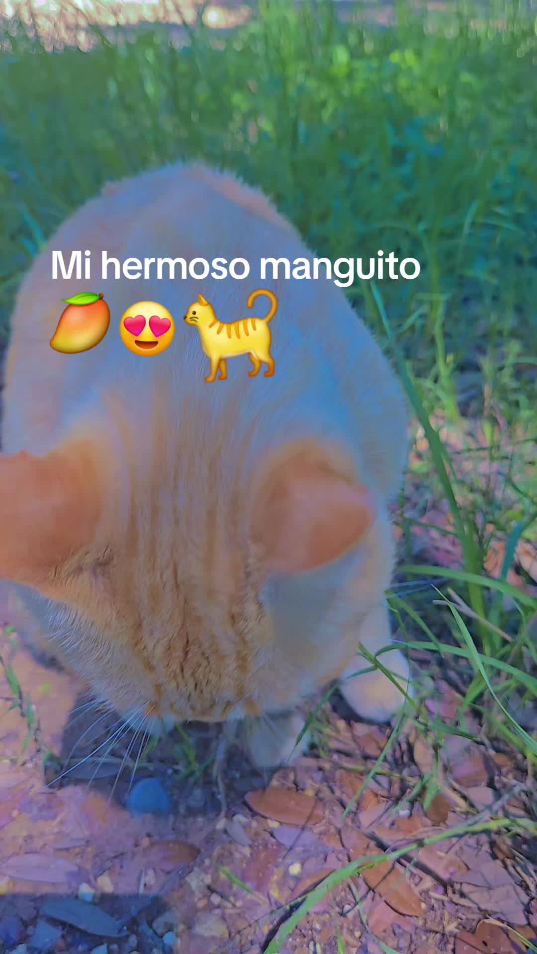 @ca1rmen