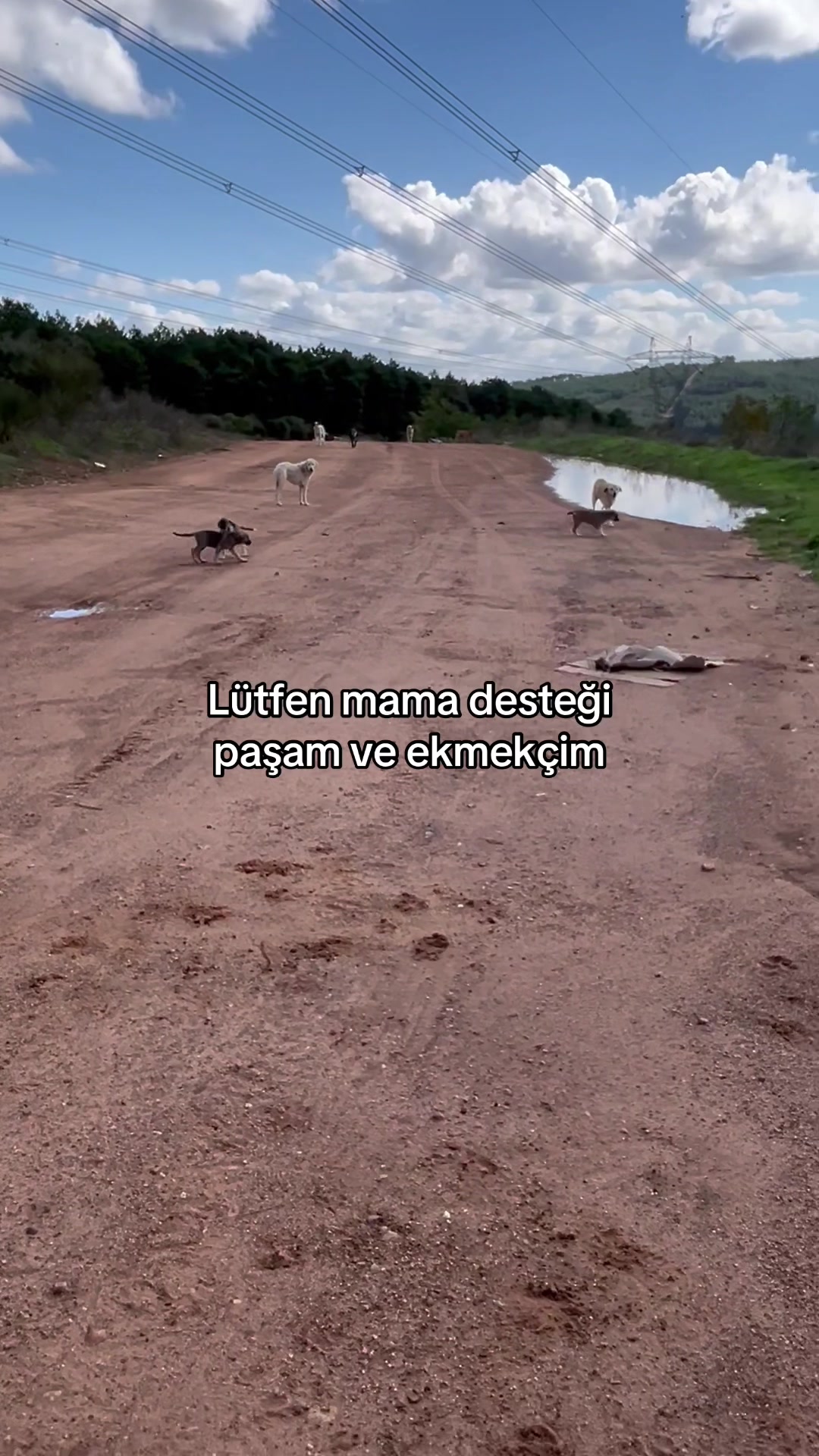 @Gönülünpatileri
