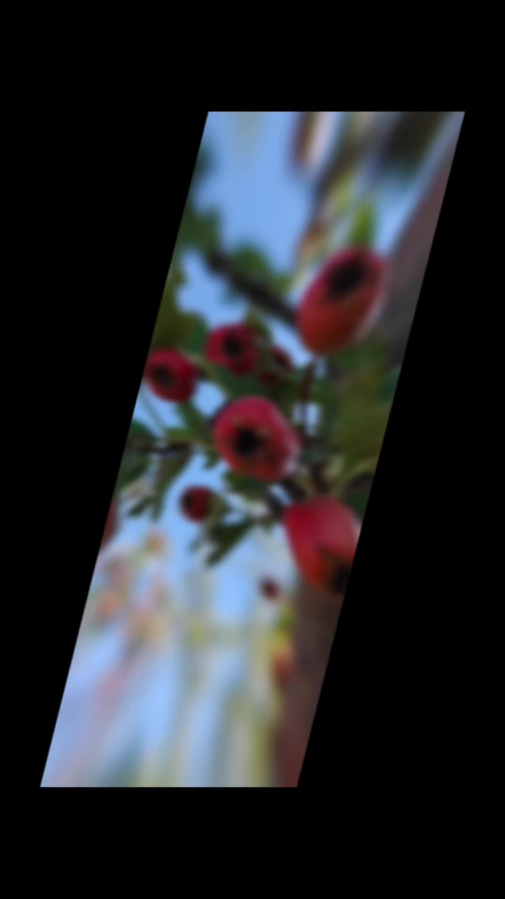 @꧁༒ Вікторія ༒꧂