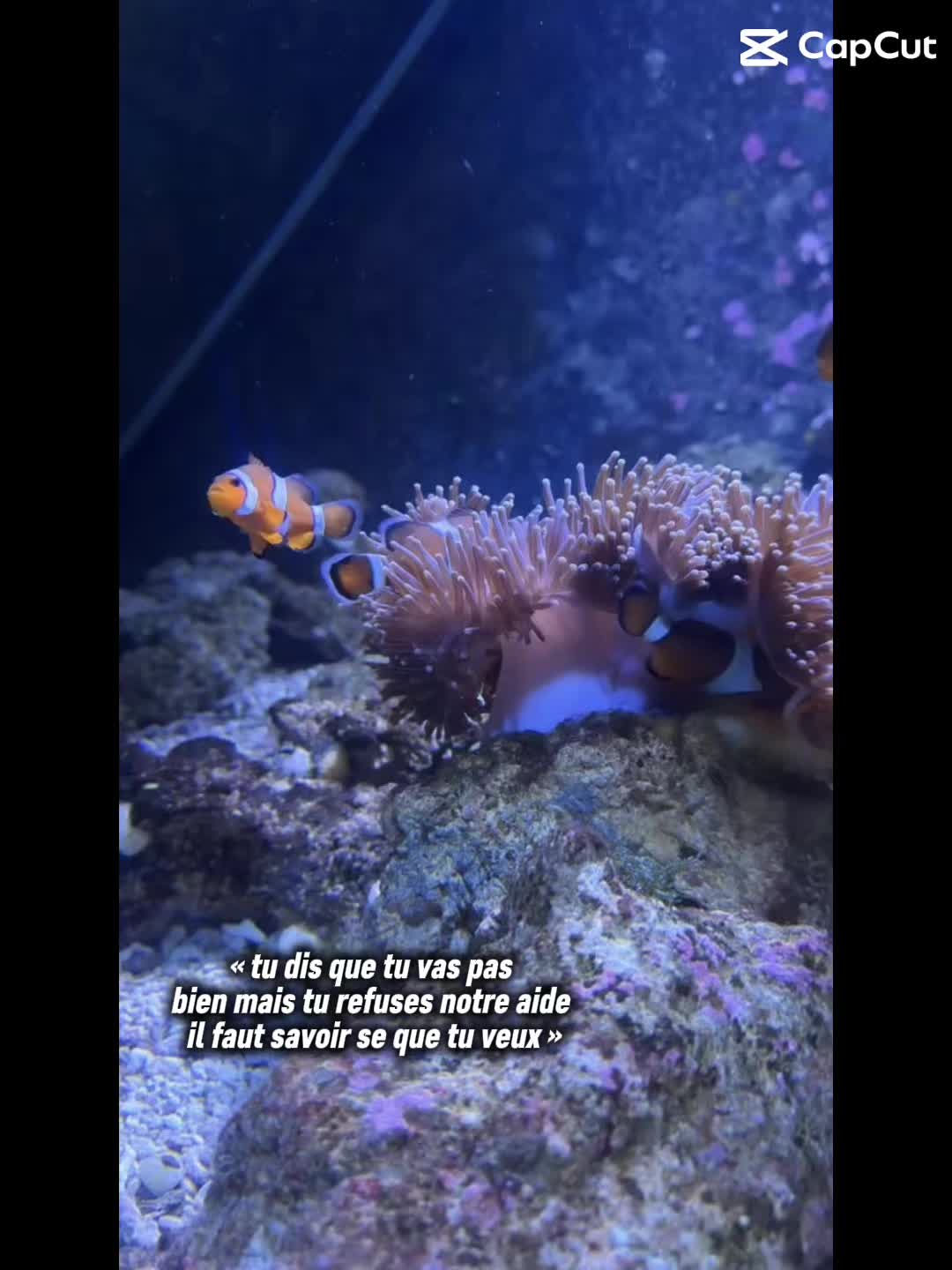 @ℒ𝒪𝒰’🦢