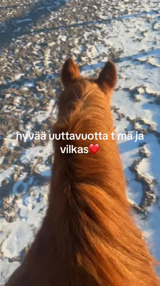 @lissumoi1