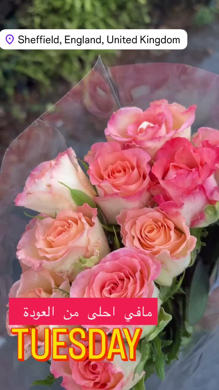 @Hasan Hussain