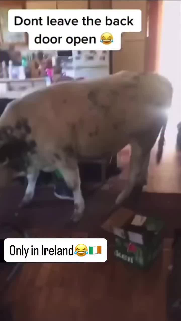 @Instant_Ireland