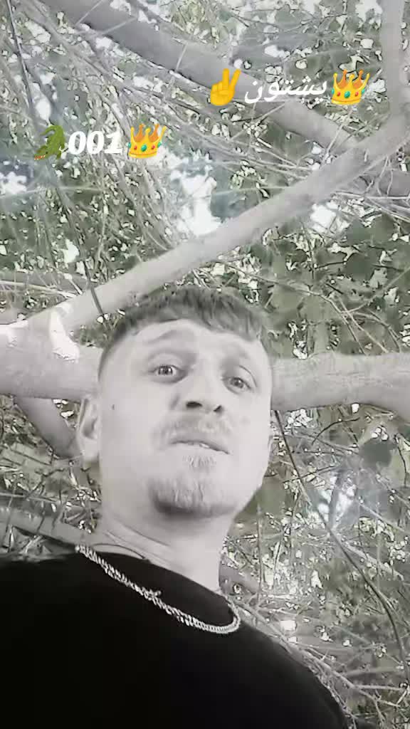 @🦅سلیم🦁خامار🐊مبارز👑