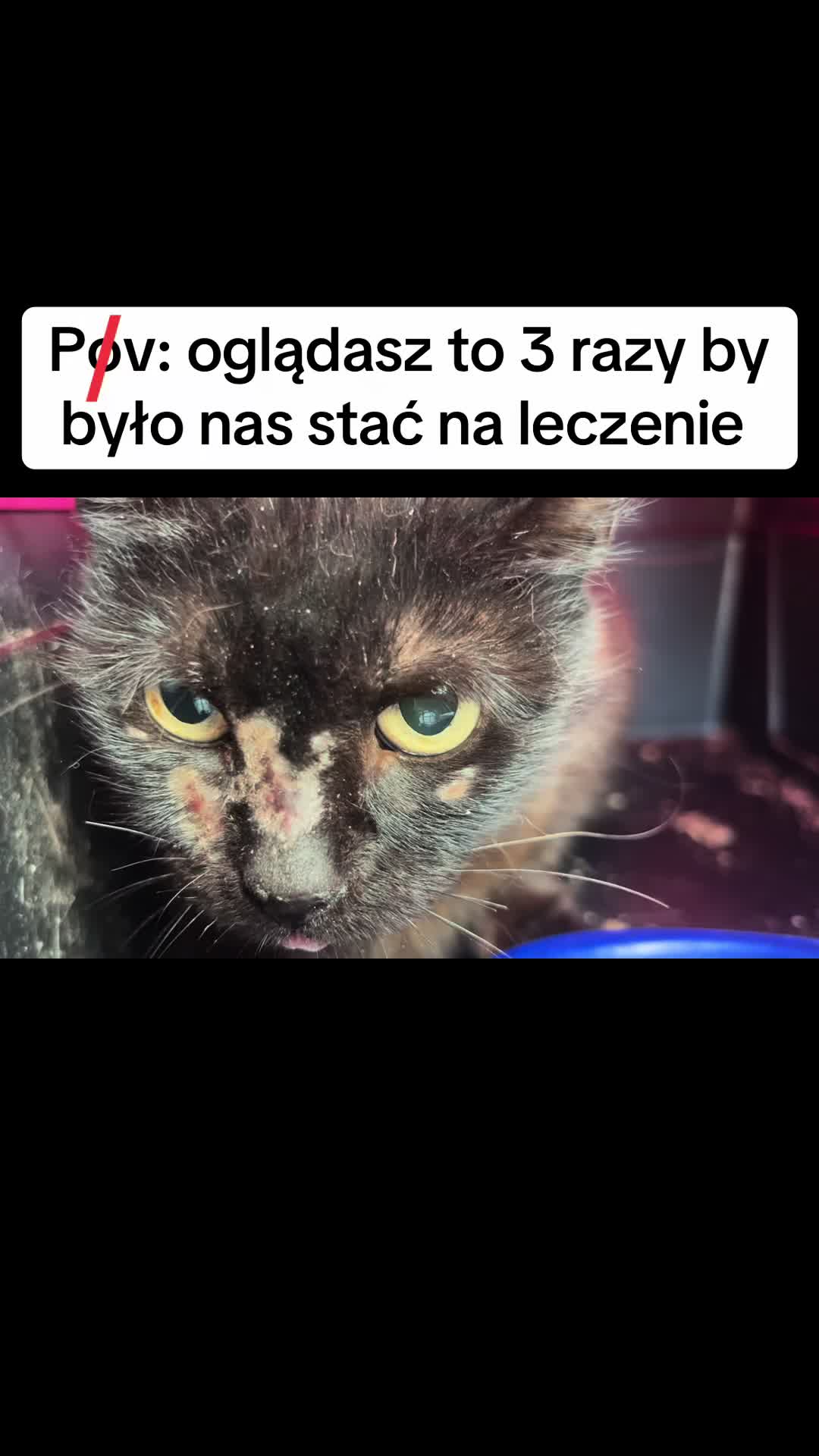 @Ratujemy