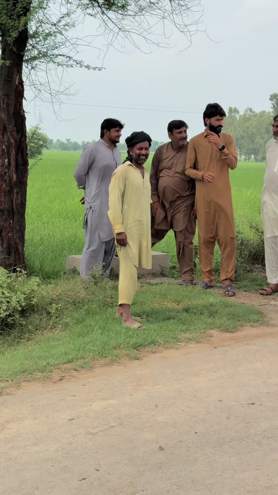 @shoaibmalhi313