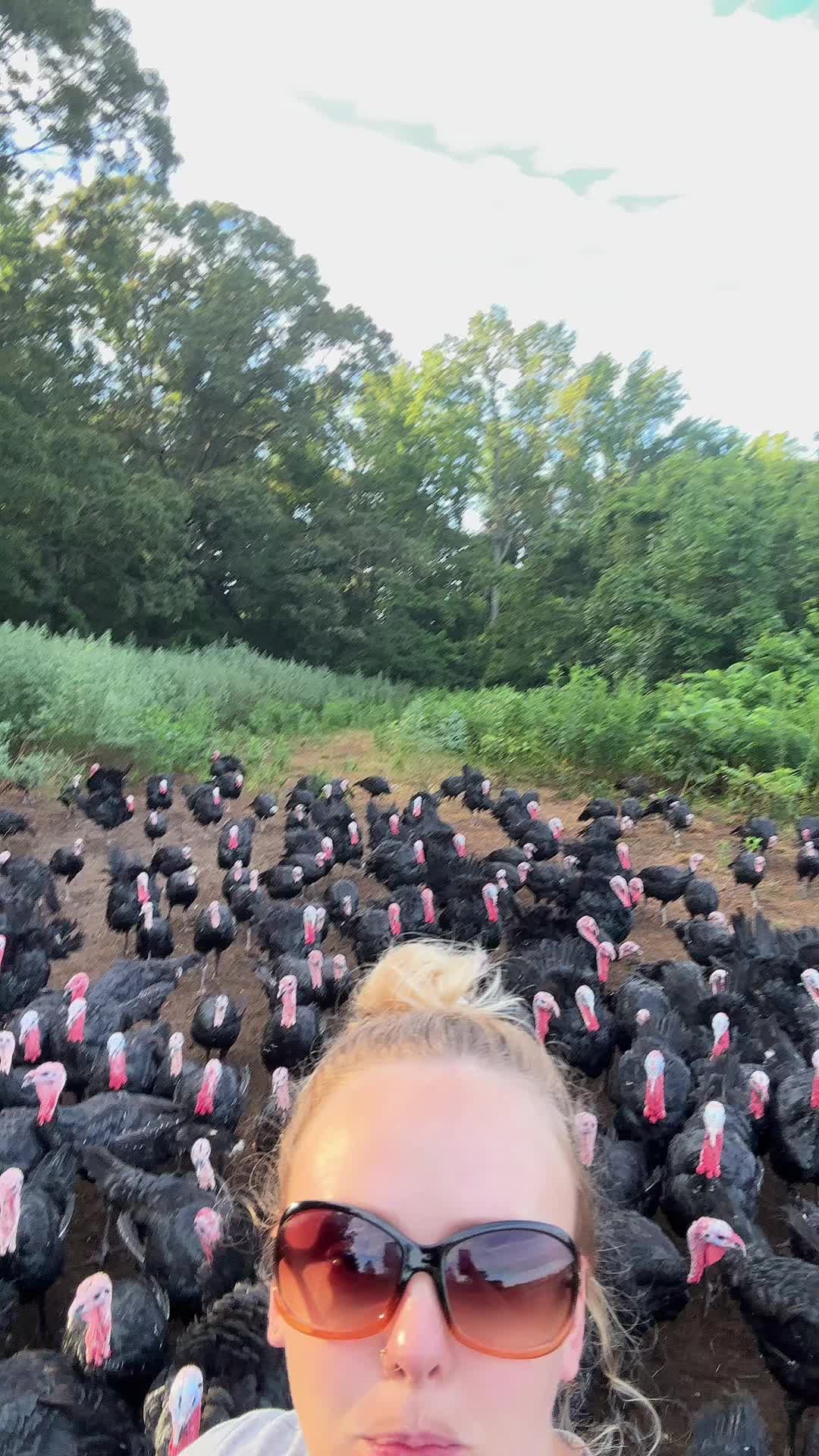 @farmerandtheharpiist