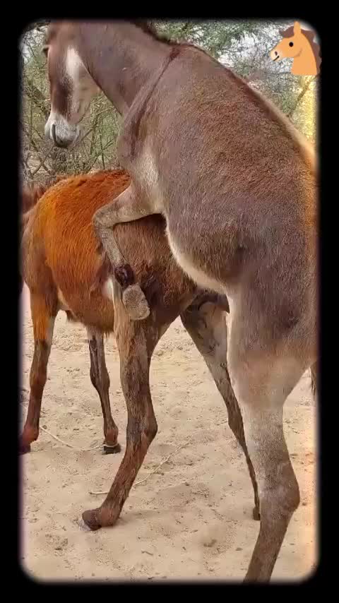 @FunLoveFun1