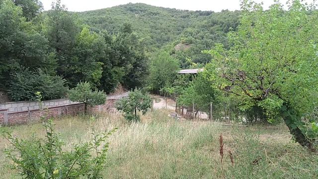 @🇧🇬Mariya_Мария