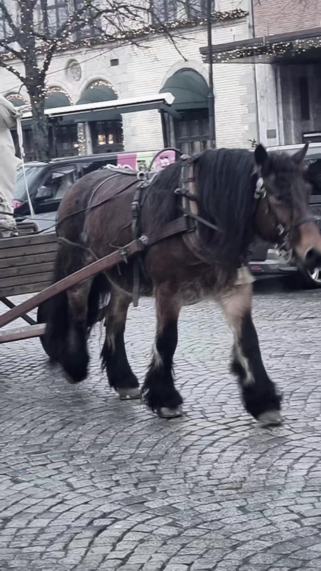 @Kristin Fjellsøy