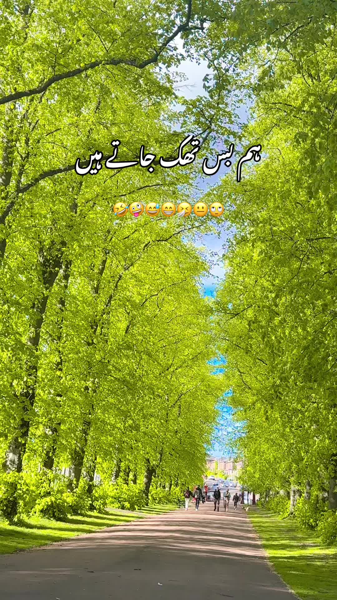 @Nimrainuk🏴🇬🇧